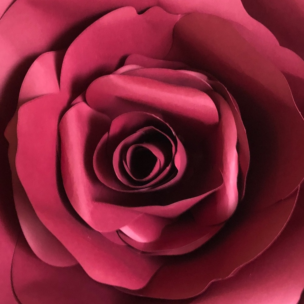 Meet your Posher, Rose
